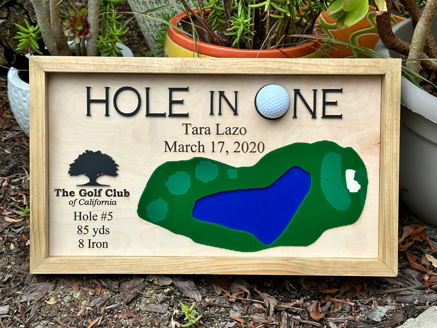 Hole in One Plaque